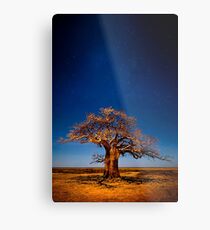 Full Moon Fantasy Metal Print