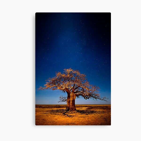 Full Moon Fantasy Canvas Print