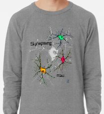 "Synapsing jetzt. - GRAU" © Leichter Pullover