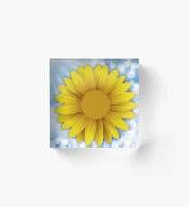 PRETTY PILLOWS Acrylic Block