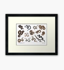 Vipera berus - variation v2 Framed Print