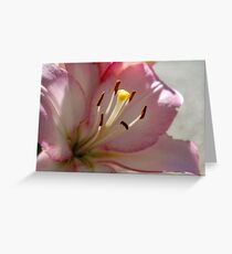 Stamen Greeting Card