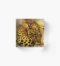 PRETTY PILLOWS Acrylic Block