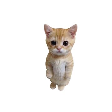 quot Standing Cat Meme quot Sticker for Sale by ayylmaolarry Redbubble quot Standing Cat Meme quot Sticker for Sale by ayylmaolarry Redbubble