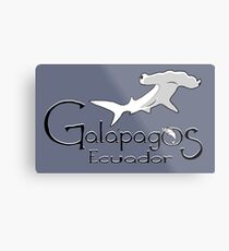 Galapagos Ecuador Hammerhead shark Metal Print