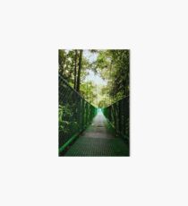 Hanging Bridges of the Cloud Forest Art Board