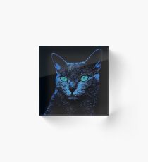 BLUE CAT ON BLACK Acrylblock