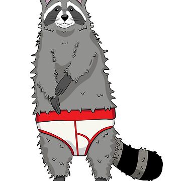 Underwear Raccoon