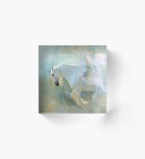 PRETTY PILLOWS Acrylic Block