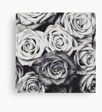Rosen Leinwanddruck