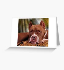Bored Greeting Card