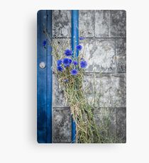 Cornflowers Metal Print