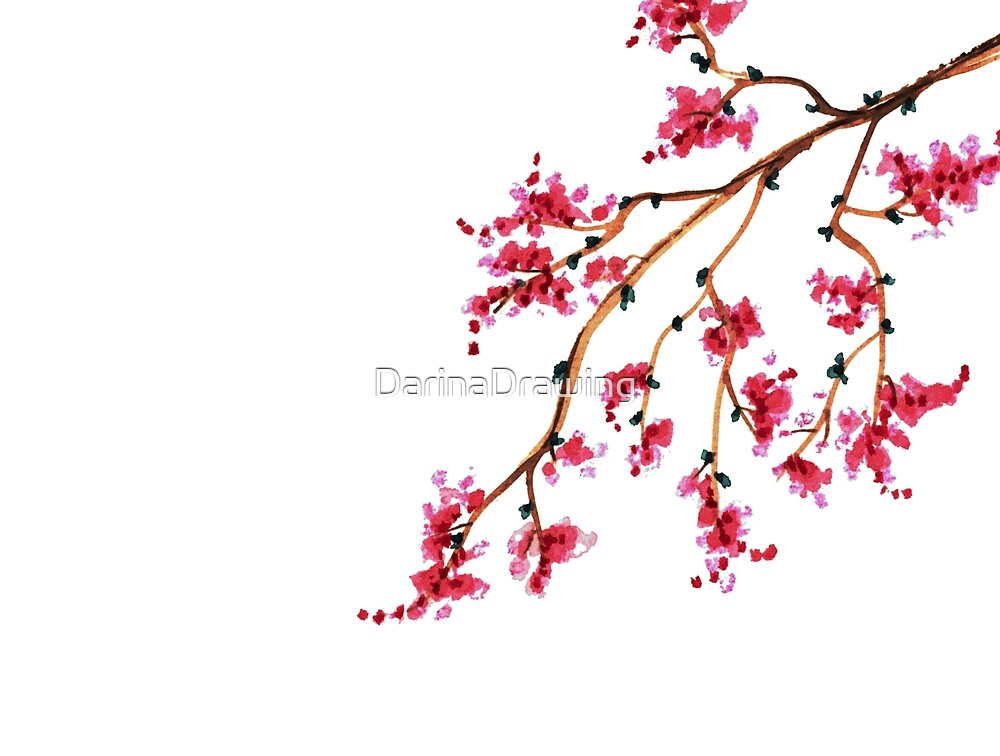"Japanese Cherry Blossoms pattern" by DarinaDrawing Redbubble