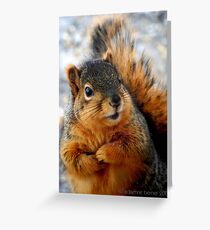 Beggar Greeting Card