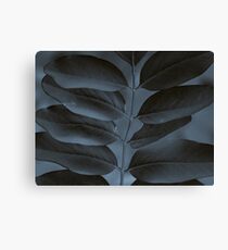 Black & Blue Canvas Print