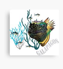 Galapagos Marine Iguana and fish Metal Print
