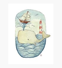 Cute Whale in the Sea Photographic Print
