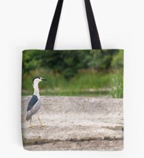A Black-crowned Night Heron 1 Tote Bag