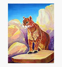 Cougar on the Rocks Photographic Print