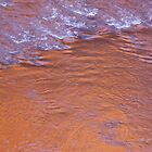 «¡Reflexión del atardecer en el río Dungeness!» de Elaine Bawden