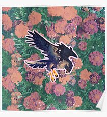 perennial falcon Poster