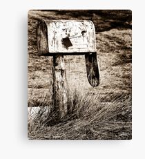 Death of Snail Mail II Canvas Print