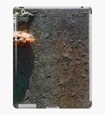 Egg Sack iPad Case/Skin