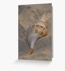 Washed Ashore Greeting Card