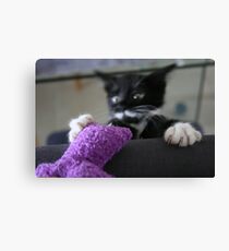 !?!!? Canvas Print