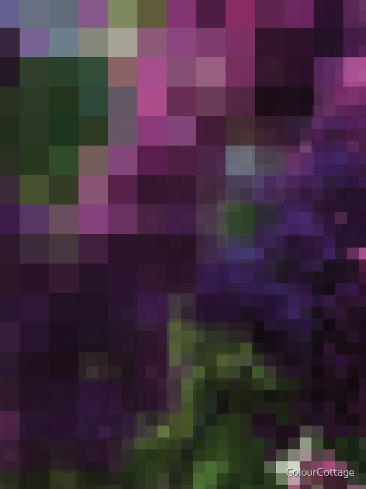 Lilacs by ColourCottage