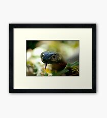 Hello Framed Print