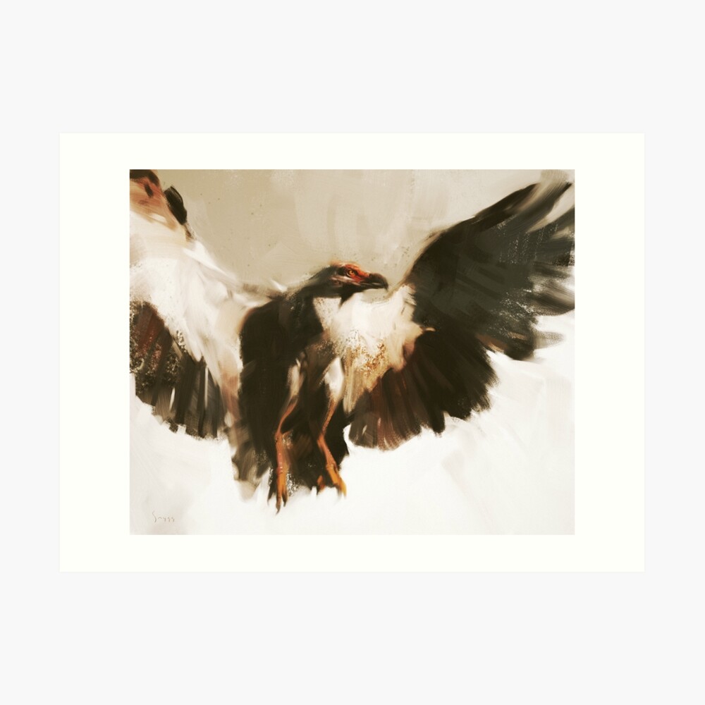 Vulture Art Print
