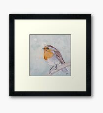 Old World Robin Framed Print