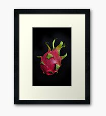Hylocereus undatus Framed Print