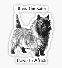 Religious dog in the rain, a little dog too Sticker