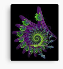 Peacock Apophysis Canvas Print
