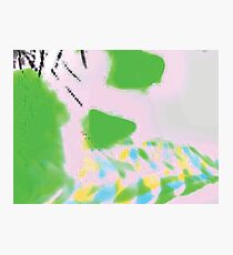 Skull & Tones Photographic Print
