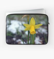 Daffodil in the Snow Laptop Sleeve