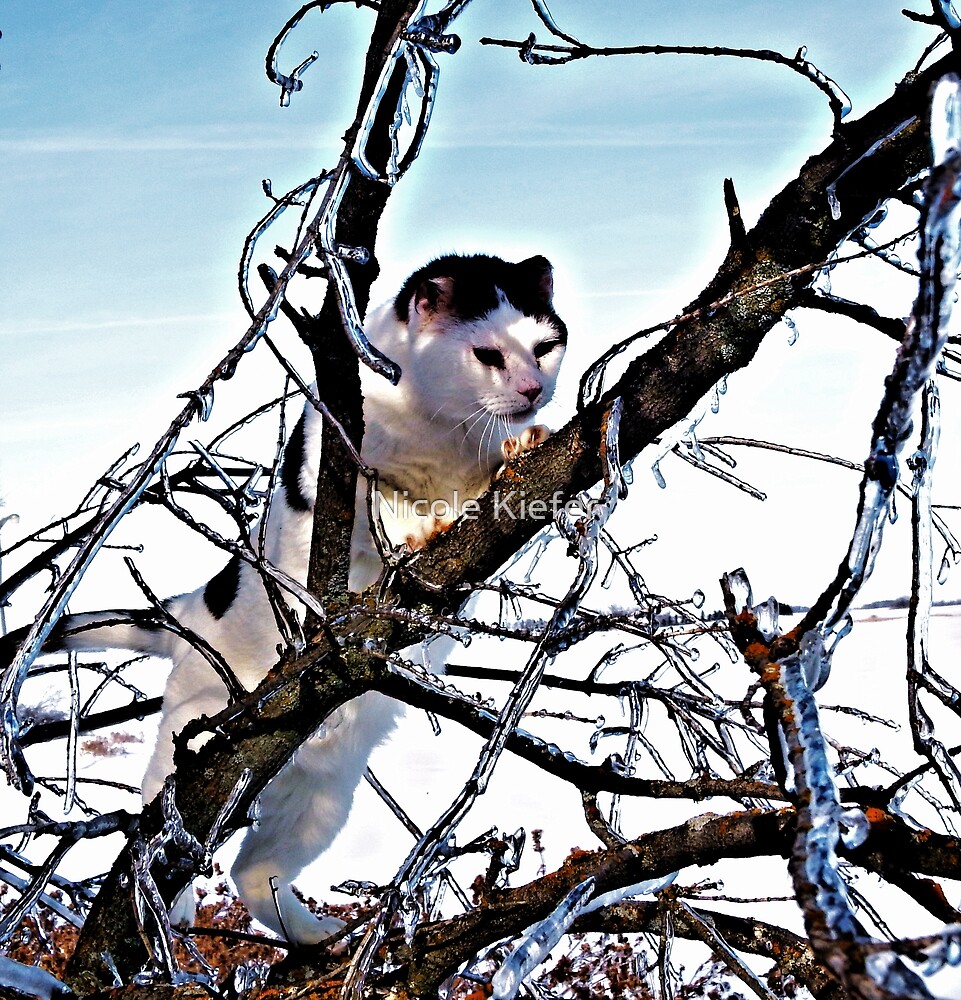 "Icy Cat" by Nicole Kiefer Redbubble