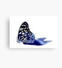 Butterfly Metal Print