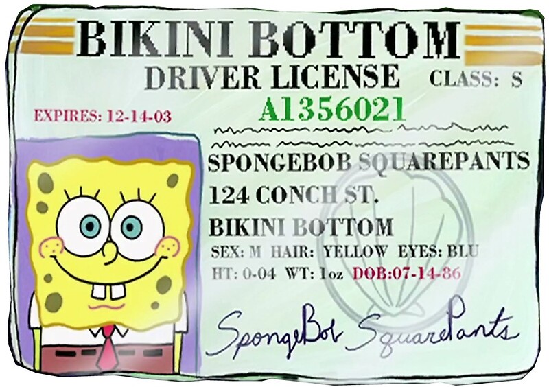 Spongebob S Driver S License By So Basically I M Baby Redbubble