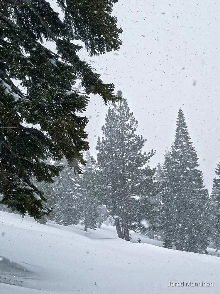 Snowstorm and Forest by JaredManninen