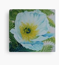 White Poppy Canvas Print