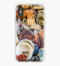 Sea Shells by the Sea shore iPhone Case