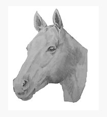 Horse drawing Photographic Print