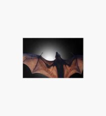Flying Fox Art Board