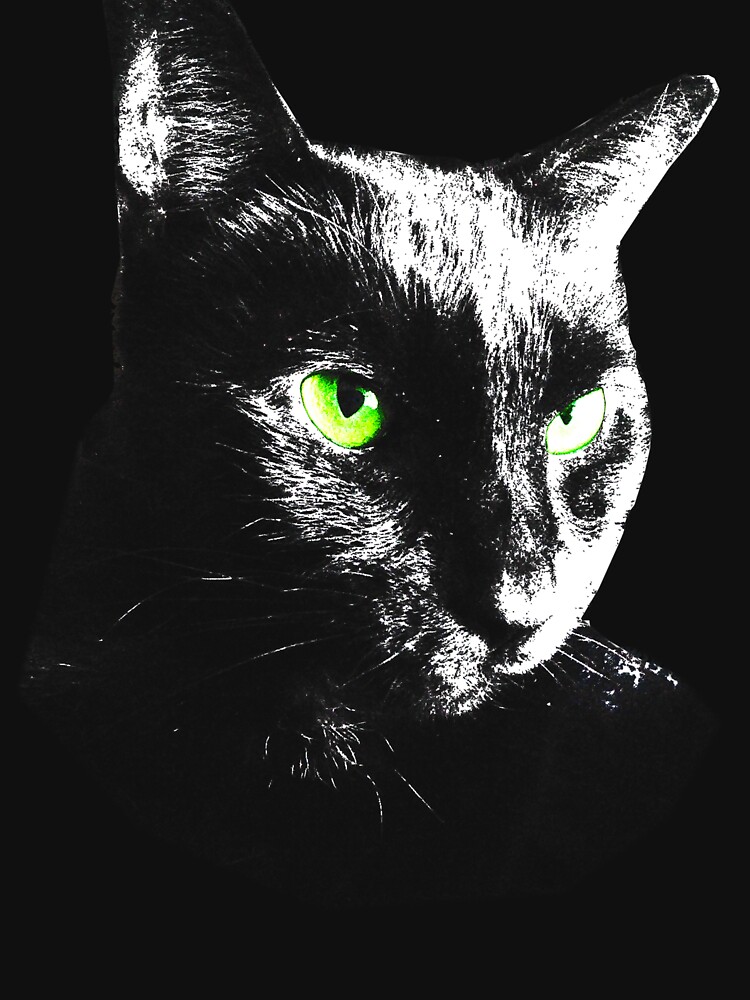 Black Cat 4 by Etakeh