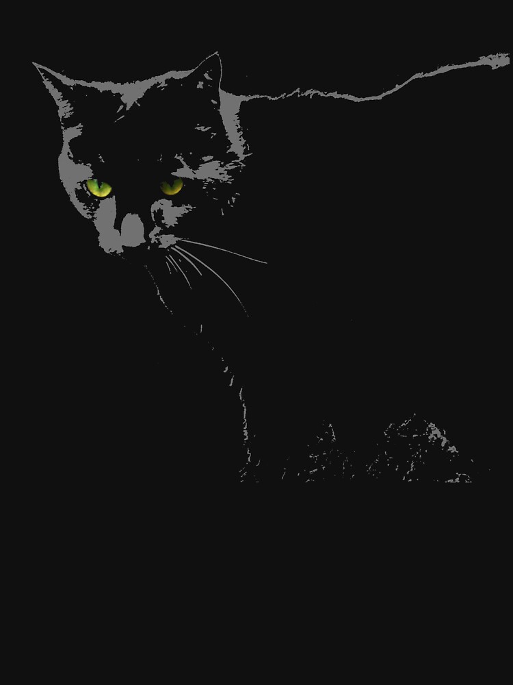 Black Cat 1 by Etakeh
