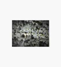 Gentle Spring Art Board