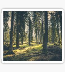 Into the Forest Sticker